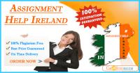 Assignment Help Ireland Few Clicks Away image 4